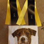 Allevamento SparkJack | Jack Russell Terrier - Padova