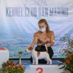Allevamento SparkJack | Jack Russell Terrier - Padova