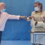 Allevamento SparkJack | Jack Russell Terrier - Padova